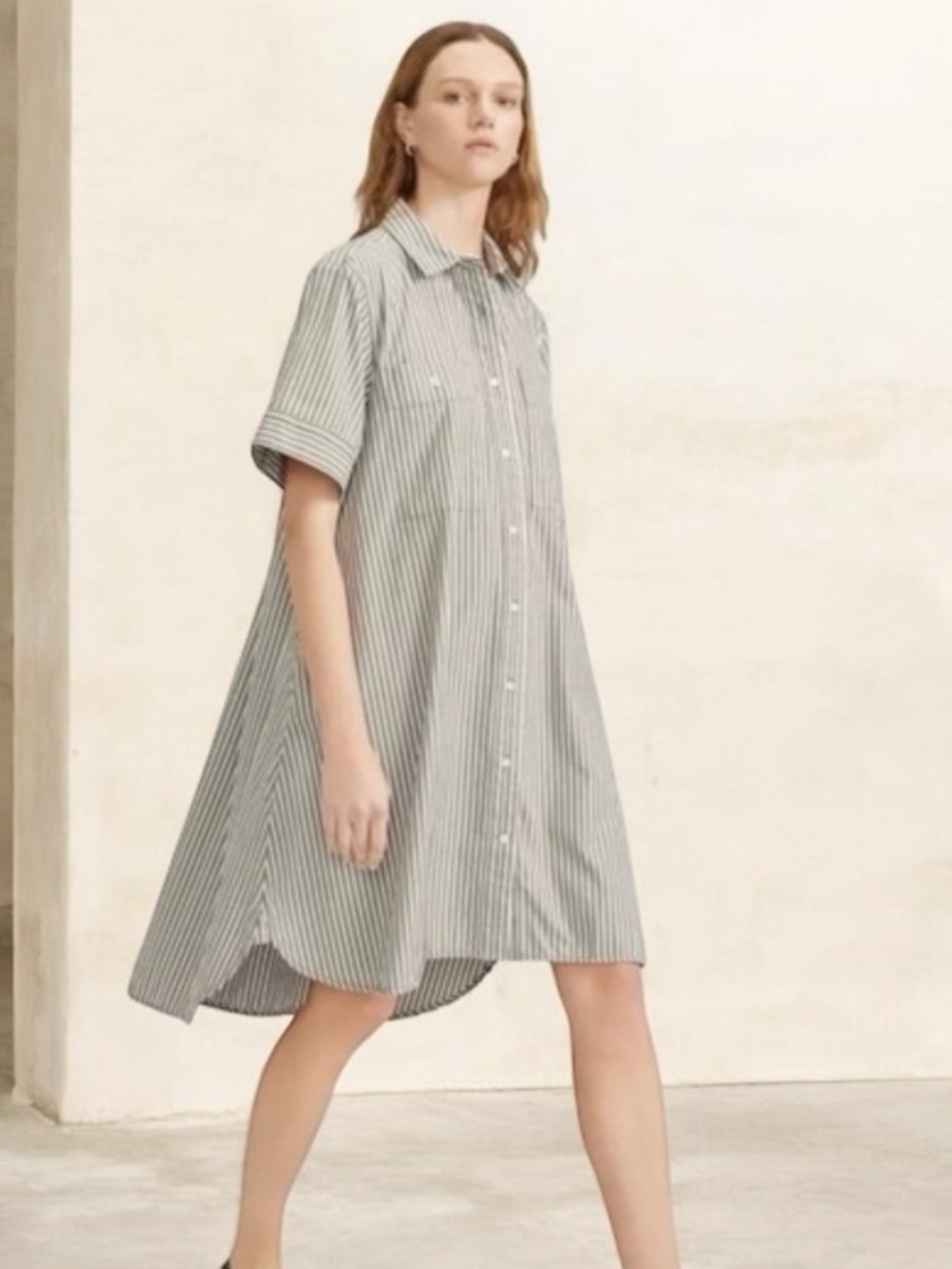 Everlane day tripper striped shirt dress